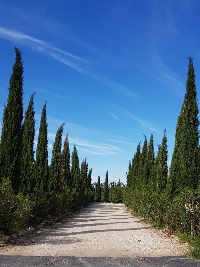 Le Mas Saint Jean Mézoargues Dış mekan fotoğraf