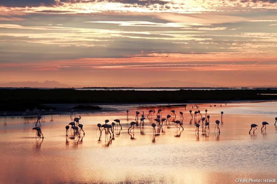 Le Mas Saint Jean Mézoargues Dış mekan fotoğraf